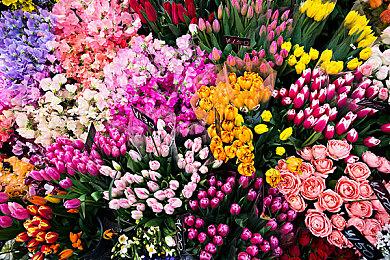 《崩坏：星穹铁道》1.6版本PV 12月27日上线